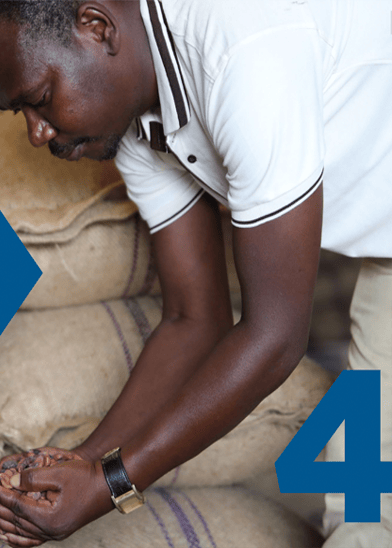 A man in a white short-sleeve shirt examines grains or seeds in his hands whilst bending over stacked hessian sacks. A blue number “4” is partially visible in the foreground. The scene suggests agricultural or warehouse work.