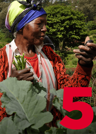 An older woman in a colourful headscarf and orange jumper stands among green leafy plants, holding vegetables in one hand and a mobile phone in the other. She smiles whilst looking at the phone. A large red number 5 is in the bottom right corner. Trees are in the background.