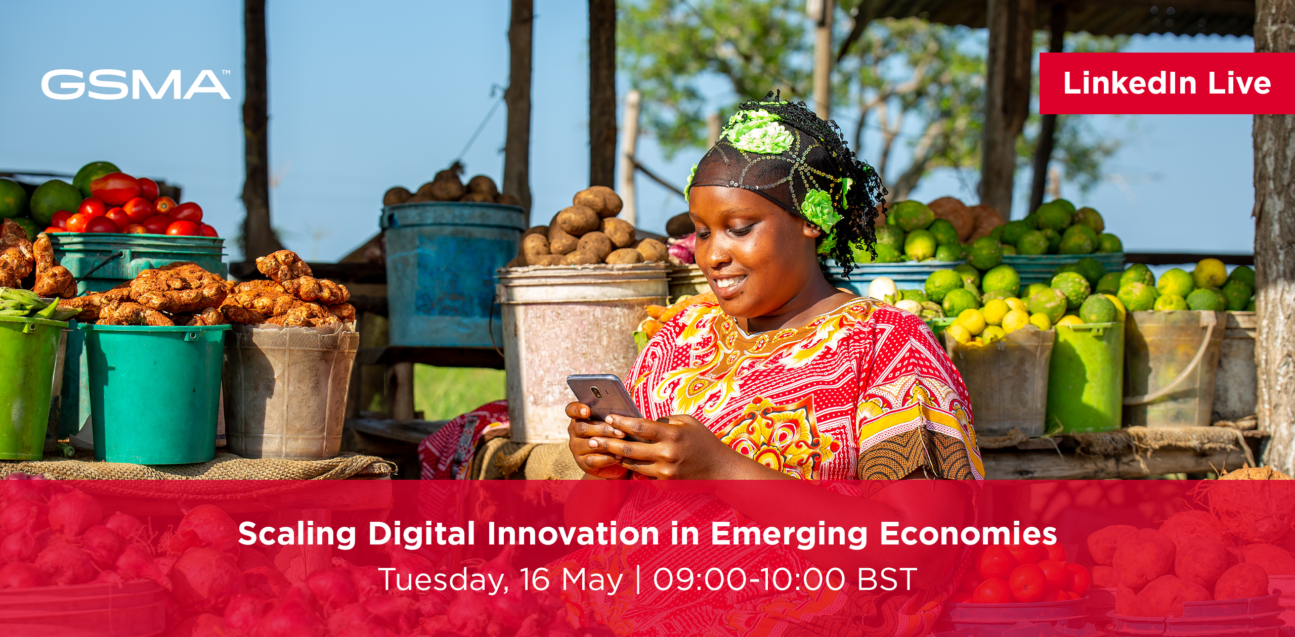Scaling Digital Innovation in Emerging Economies
