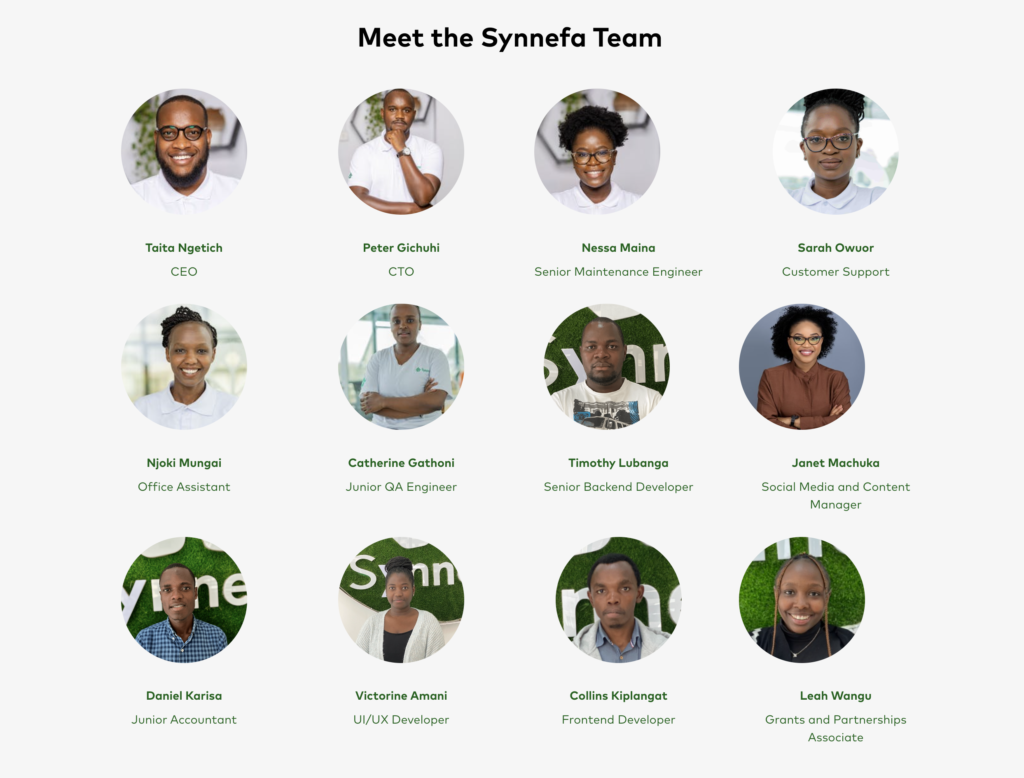 Grid of 12 professional headshots with names and job titles, labeled "Meet the Synnefa Team," featuring a diverse group of male and female members.