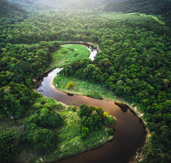 Aerial view of a winding river cutting through a lush green forest, highlighting the importance of ClimateTech in preserving such natural landscapes.