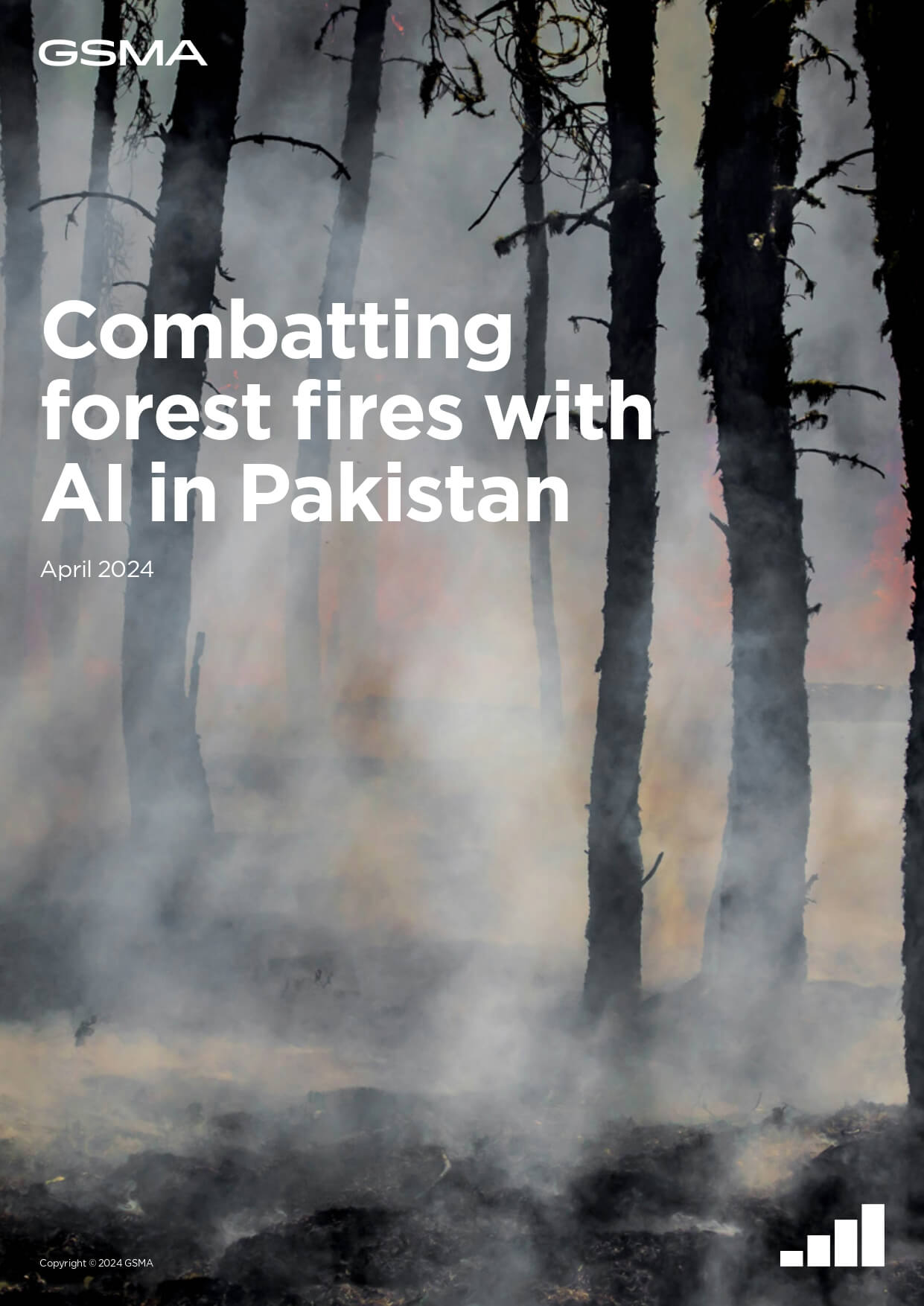 Combatting forest fires with AI in Pakistan image
