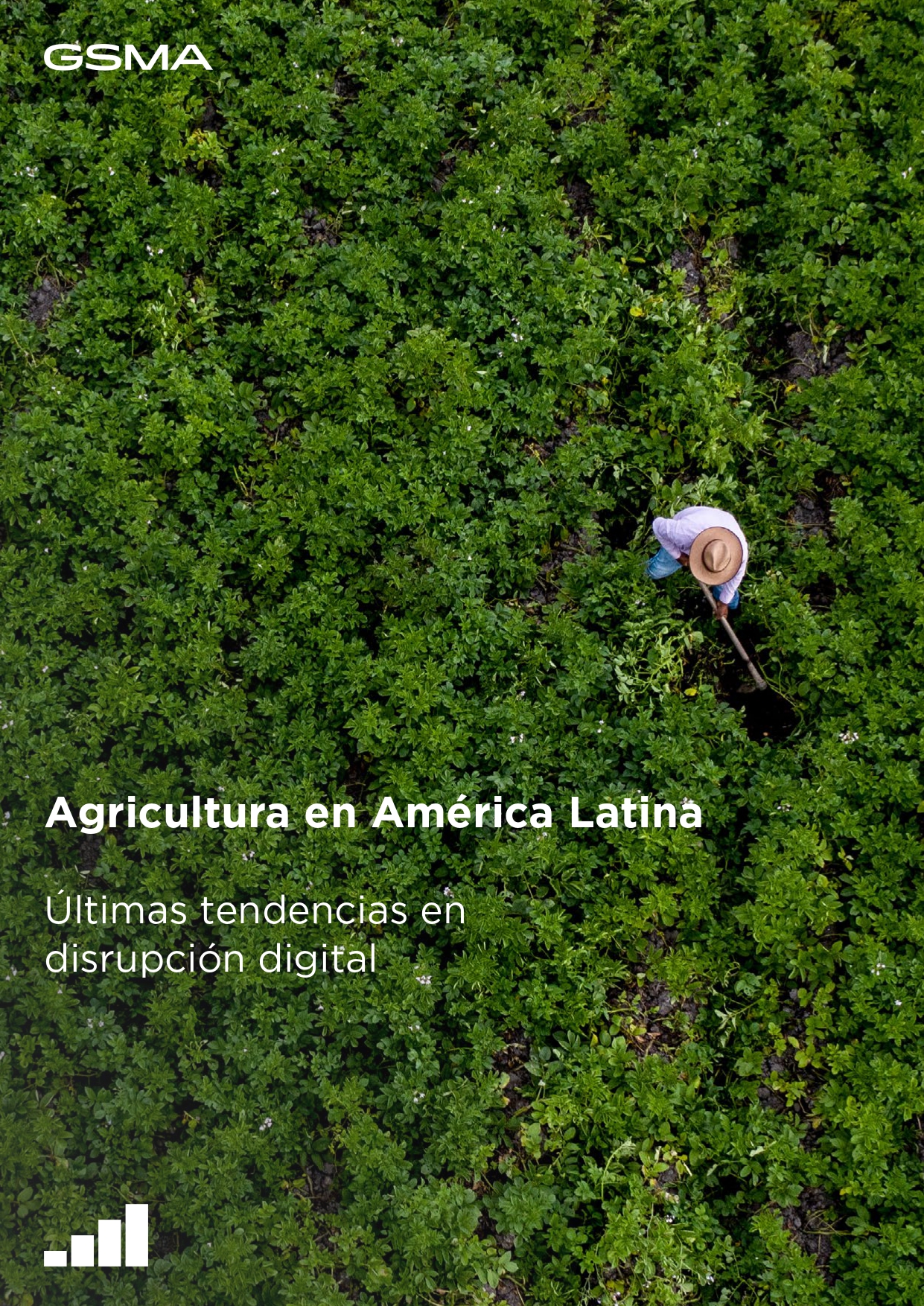 Agriculture in Latin America: Recent trends in digital disruption image