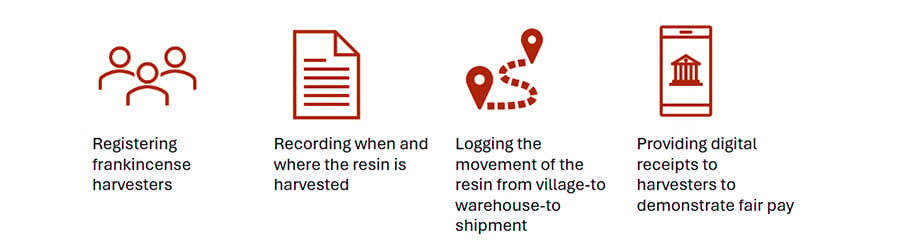 Icons illustrating a process: first, three people under "Registering frankincense harvesters"; second, a document labeled "Recording when and where the resin is harvested" using blockchain; third, a map path for "Logging the movement of the resin"; fourth, a phone for "Providing digital receipts to harvesters.
