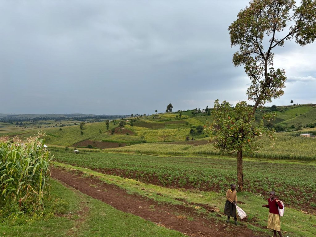 A vast, lush landscape of green fields stretches under a cloudy sky. A dirt path runs through the scene, with two individuals standing beside it, one carrying a white sack. A single tall tree stands nearby. Cornstalks grow on the left, and distant hills create a serene backdrop.