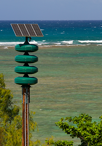 A green tsunami warning siren with solar panels sits on a rusty pole near the ocean. It overlooks clear, turquoise waters with visible waves and a bright blue sky. Lush green foliage surrounds the base of the siren.