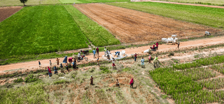 Aerial view of a rural scene with people gathering along a dirt path beside a field, some with bicycles and a cart. Green and brown agricultural fields extend into the background. The group appears to be engaged in a farming activity or gathering.
