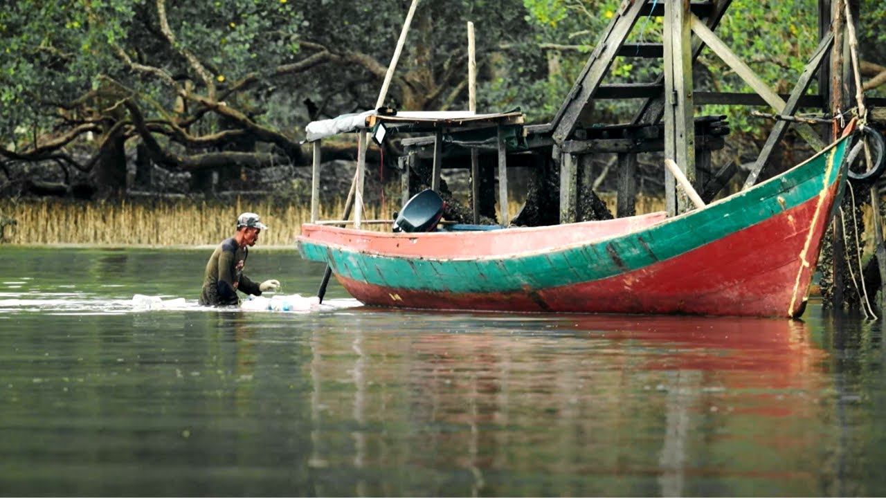 Digitising Mangrove Conservation in Indonesia