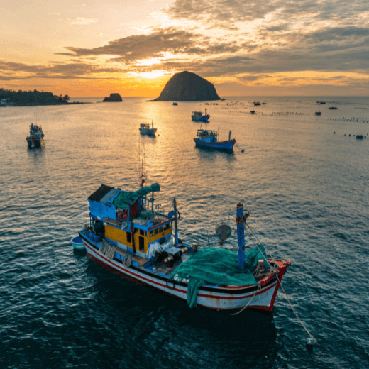 A colorful fishing boat floats on calm water at sunset, surrounded by several smaller boats—some used for shrimp farming. The sky glows orange and gold, while a large rocky island is silhouetted by the setting sun.