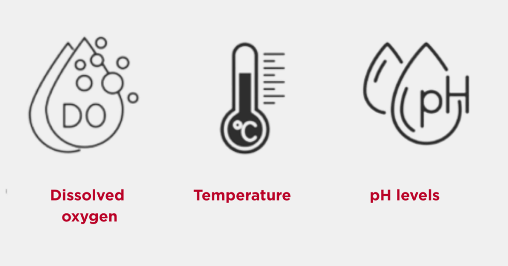 Three black-and-white icons: bubbles for dissolved oxygen (labeled in red), a thermometer for temperature (labeled in red), and a water droplet with "pH" inside for pH levels (labeled in red), representing key shrimp farming water quality indicators.