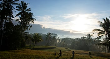 Silhouettes of people walk through a lush field surrounded by tall palm trees at sunrise. The sun is low in the sky, casting a bright glow and long shadows, with scattered clouds and mist creating a tranquil, tropical atmosphere.