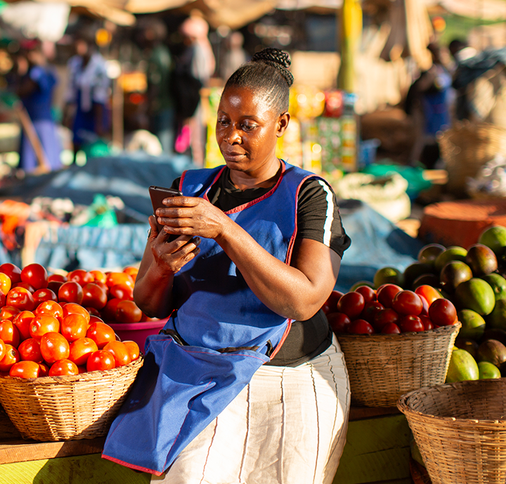 A woman in a blue apron sits among baskets of tomatoes and avocados at an outdoor market, focused on her smartphone. Sunlight highlights her as she connects with others, embodying the spirit of Connected Women amid fresh produce and vibrant market life.
