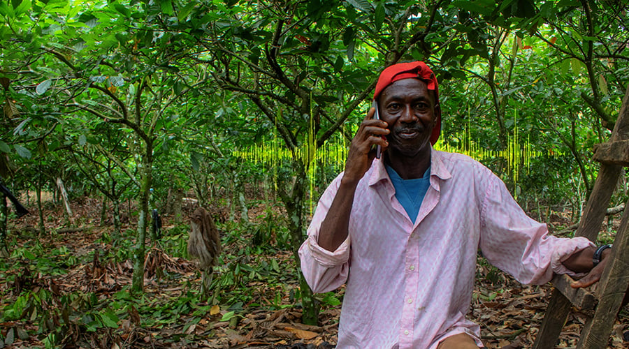 A man wearing a red cap and pink shirt sits in a lush green forest or plantation, smiling while talking on a mobile phone. He rests one arm on a wooden structure, with dense foliage and leafy ground covering the area around him.