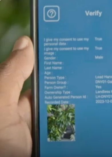 A hand holds a smartphone displaying a verification screen with blue background. The screen shows personal consent statements, gender as male, and fields for name, age, person type, owner status, and a small photo of green leaves at the bottom.