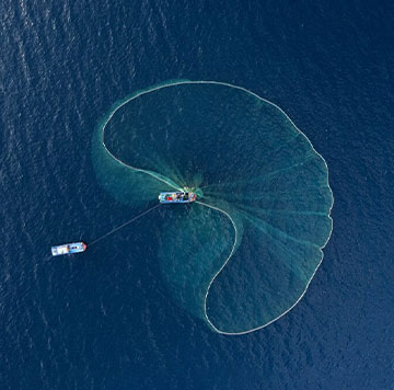 Aerial view of two boats on deep blue water; one large boat and a smaller support boat. A wide fishing net fans out in a sweeping arc from the larger boat, forming a translucent curve on the water’s surface.