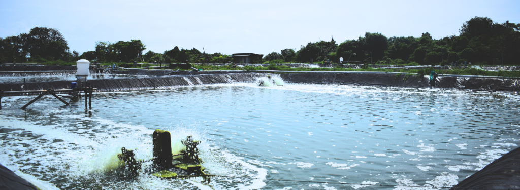 A large outdoor fish or shrimp pond with water aerators creating bubbles on the surface, surrounded by greenery, equipment, and distant trees under a bright sky. The pond is lined with plastic, and small structures are visible on the far bank.
