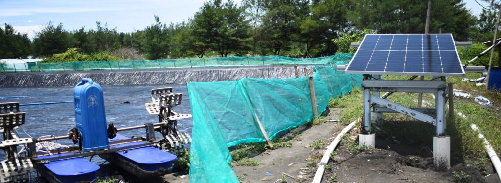 A large outdoor fish or shrimp pond lined with black plastic sits behind a green mesh fence. In the foreground, a floating blue paddlewheel aerator and a solar panel on a metal stand are visible. Trees and clear sky appear in the background.
