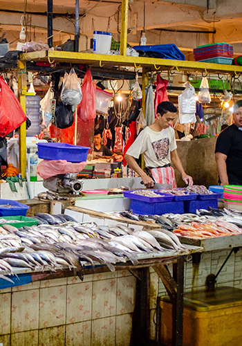 A busy indoor fish market scene with rows of fresh fish laid out on tiled counters. Two men work behind the counter; one is handling fish near blue trays. Colorful bags and baskets hang above, and market lights illuminate the background.
