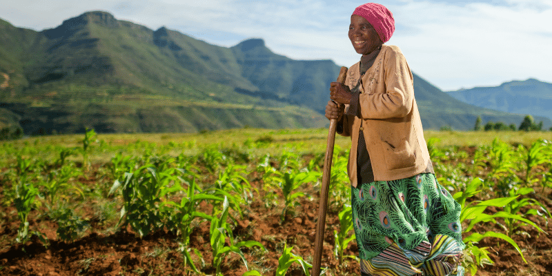 An older woman in a colorful skirt, tan jacket, and pink headscarf stands smiling in a green field, holding a wooden hoe. Behind her are rolling hills and mountains under a bright, partly cloudy sky.