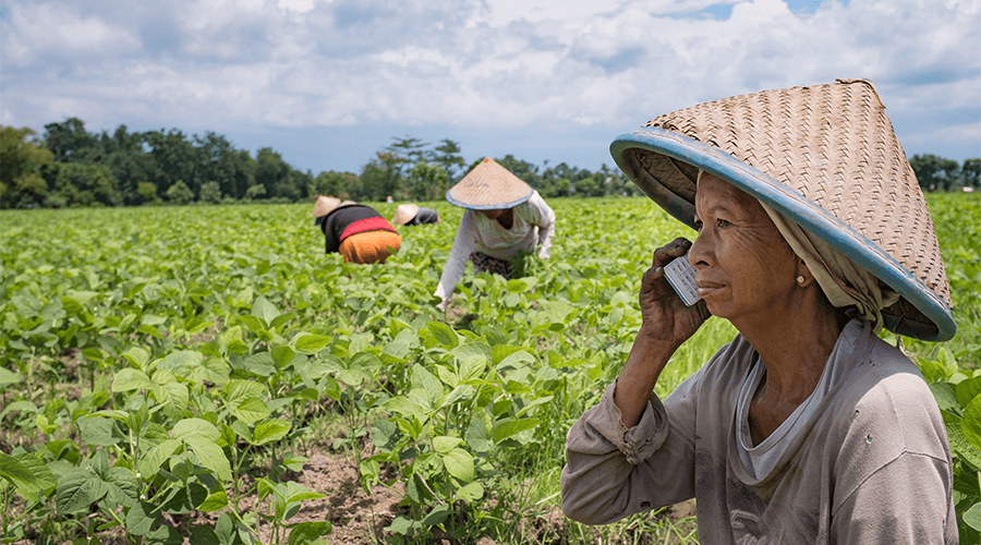 An older woman wearing a conical hat sits in a green crop field, talking on a mobile phone. Two other people, also in conical hats, are seen bent over working among the plants under a partly cloudy sky. Trees line the background.