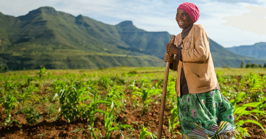 An older woman stands smiling in a sunlit field with young green crops. She wears a pink headscarf, beige jacket, and green patterned skirt, holding a hoe. In the background, rolling mountains rise under a blue sky with scattered clouds.