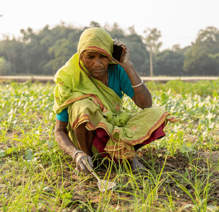 Transforming Agriculture and Food Systems at COP30: An elderly woman in a green sari crouches in a field, tending to crops with a small hand tool. Focused, she holds a mobile phone to her ear—an image reflecting grassroots agriculture as COP30 spotlights climate action and rural communities.
