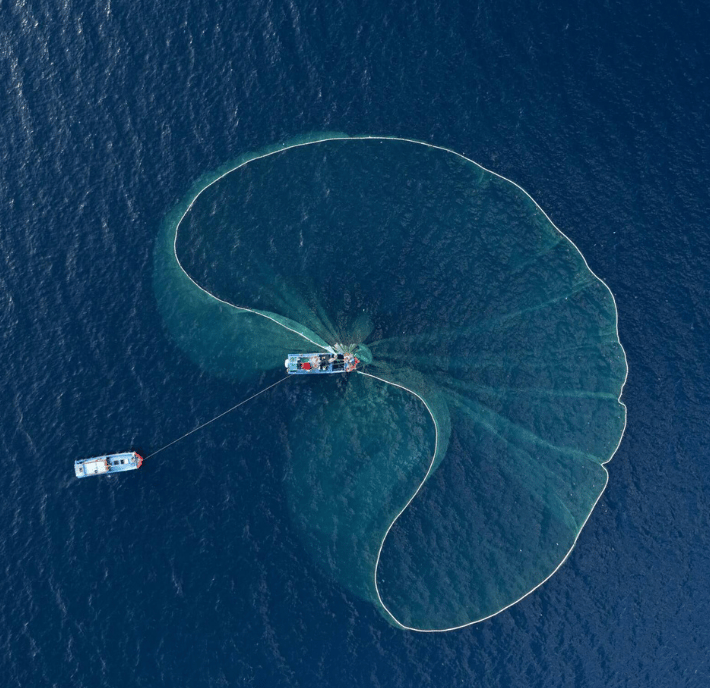 Aerial view of two fishing boats on deep blue water. One boat casts a large, curved green net in a semicircle, its patterns highlighting the rich biodiversity beneath the surface.