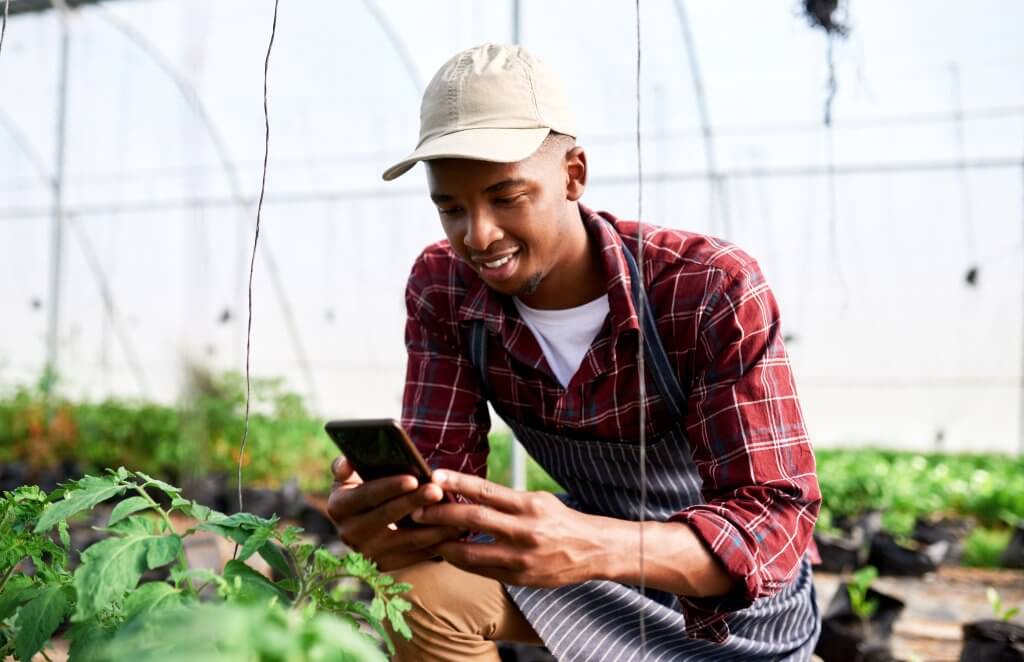 A young man wearing a beige cap, checked shirt, and striped apron kneels in a greenhouse, smiling at his mobile—perhaps reviewing AgriTech Accelerator Lessons & Insights as green plants thrive around him under filtered sunlight.