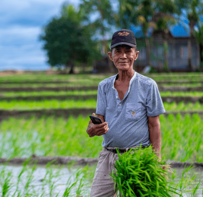 An elderly man wearing a cap and short-sleeved shirt stands in a lush green rice field, holding a bundle of young rice plants and a phone that may enable him to connect with others. Flooded paddies, a house, and trees appear under the cloudy sky.