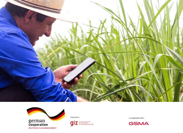 A smiling man in a straw hat and blue shirt crouches in a lush green field, looking at a mobile phone. Logos at the bottom include German Cooperation, GIZ, and GSMA, indicating a collaborative agricultural technology project.