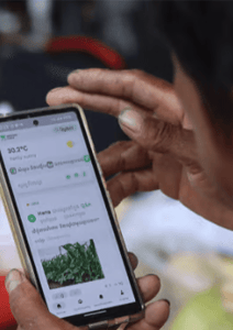 A person with rough, weathered hands holds a mobile phone displaying a weather app and agricultural information, including temperature, notifications, and a small image of green crops. The background is blurred, focusing attention on the phone screen.