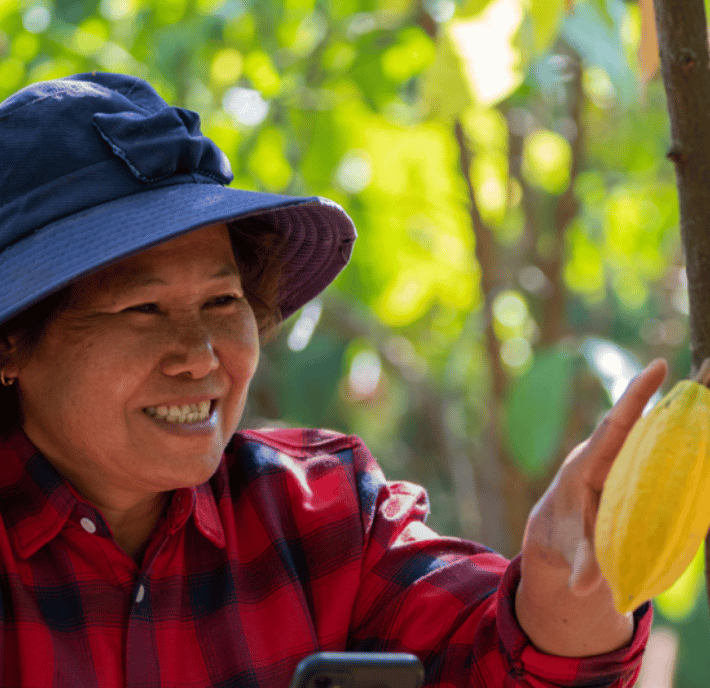 Smiling woman in a blue hat examines a yellow cocoa pod on a tree, holding a mobile in her other hand.