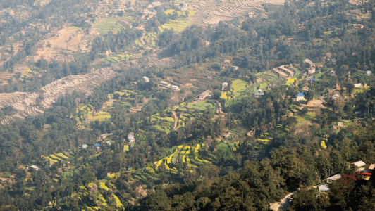 Aerial view of a hilly landscape featuring terraced fields shaped by natural resource management, scattered houses, and patches of dense green forest. The sunlit scene highlights the contrast between cultivated farmland, greenery, and rural dwellings on the slopes.