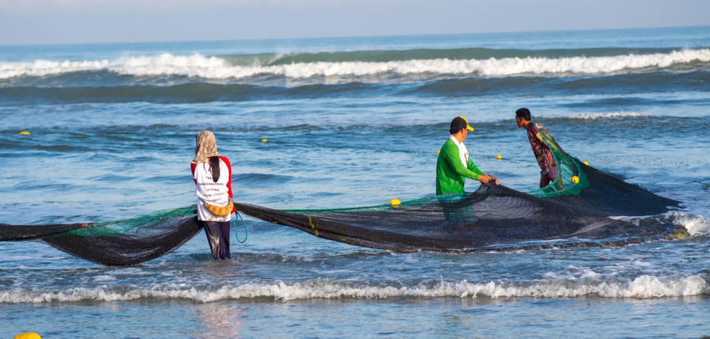Three people stand waist-deep in the sea, wearing shirts and hats, pulling a large fishing net along the shoreline—a scene reflecting natural resource management. Small yellow buoys dot the net as gentle waves roll in beneath a clear sky.