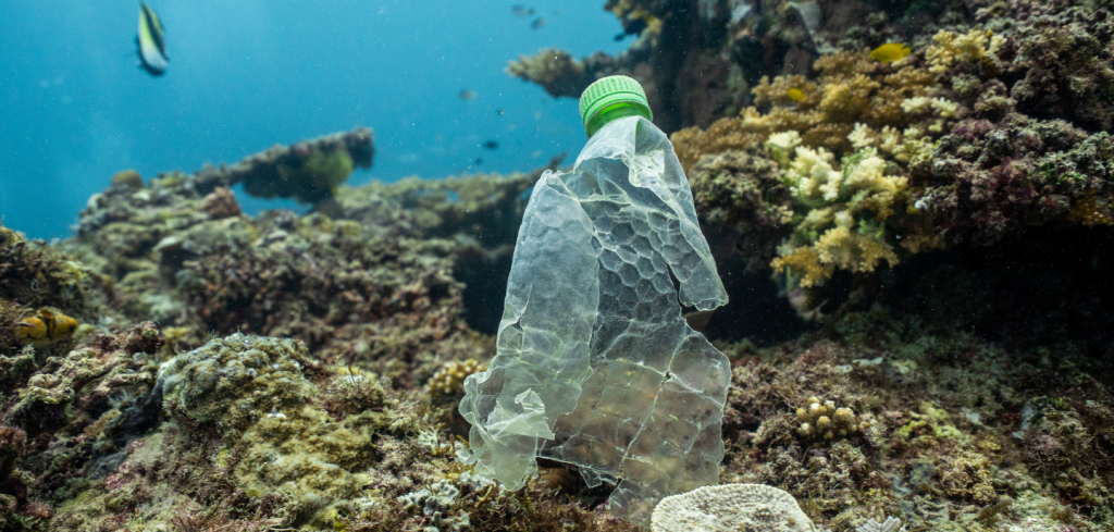 A crumpled plastic bottle with a green cap lies amid coral and marine life underwater, highlighting plastic pollution. Coral reefs and fish are visible in the background, and the clear water contrasts sharply with the discarded plastic waste.