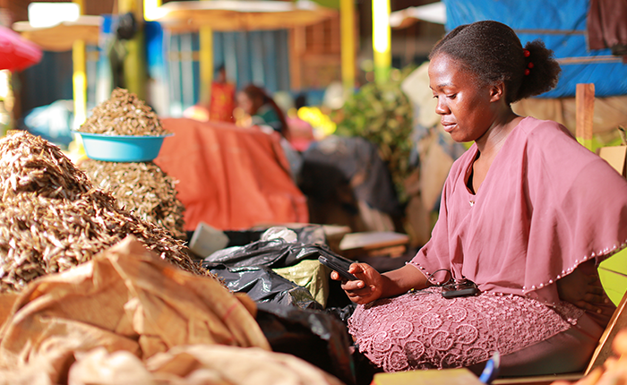 A woman in a pink outfit sits at a market stall, using a mobile phone. She is surrounded by piles of dried fish and goods, with vibrant market colours in the background. Natural light highlights her focused expression.