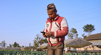 A man in a red and white jacket stands in a farm field using a mobile phone, representing an introduction to mobile for business. He wears a patterned hat as he surveys the green plants before him, with greenhouses, trees, and a blue sky forming the background.