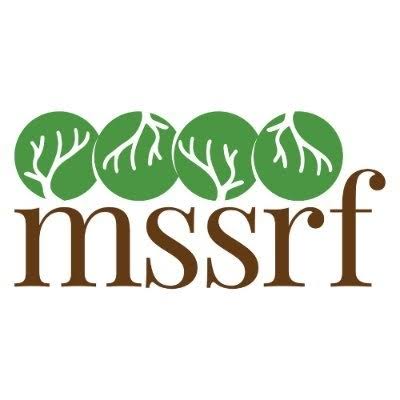 Logo with “mssrf” in brown lowercase letters. Above the text, four green circles each display a white branch pattern, symbolising growth and nature. The design is simple and conveys an environmental or agricultural focus.
