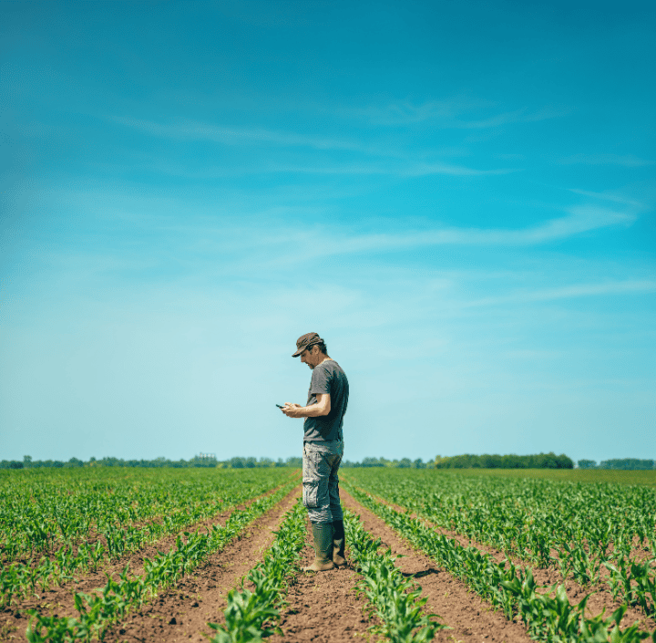 A man in a cap, T-shirt, and cargo trousers stands in a sunny field of young crops using a mobile phone for GSMA Mobile for Development. He wears rubber boots and is surrounded by long, uniform rows of plants stretching towards the horizon under a clear blue sky.