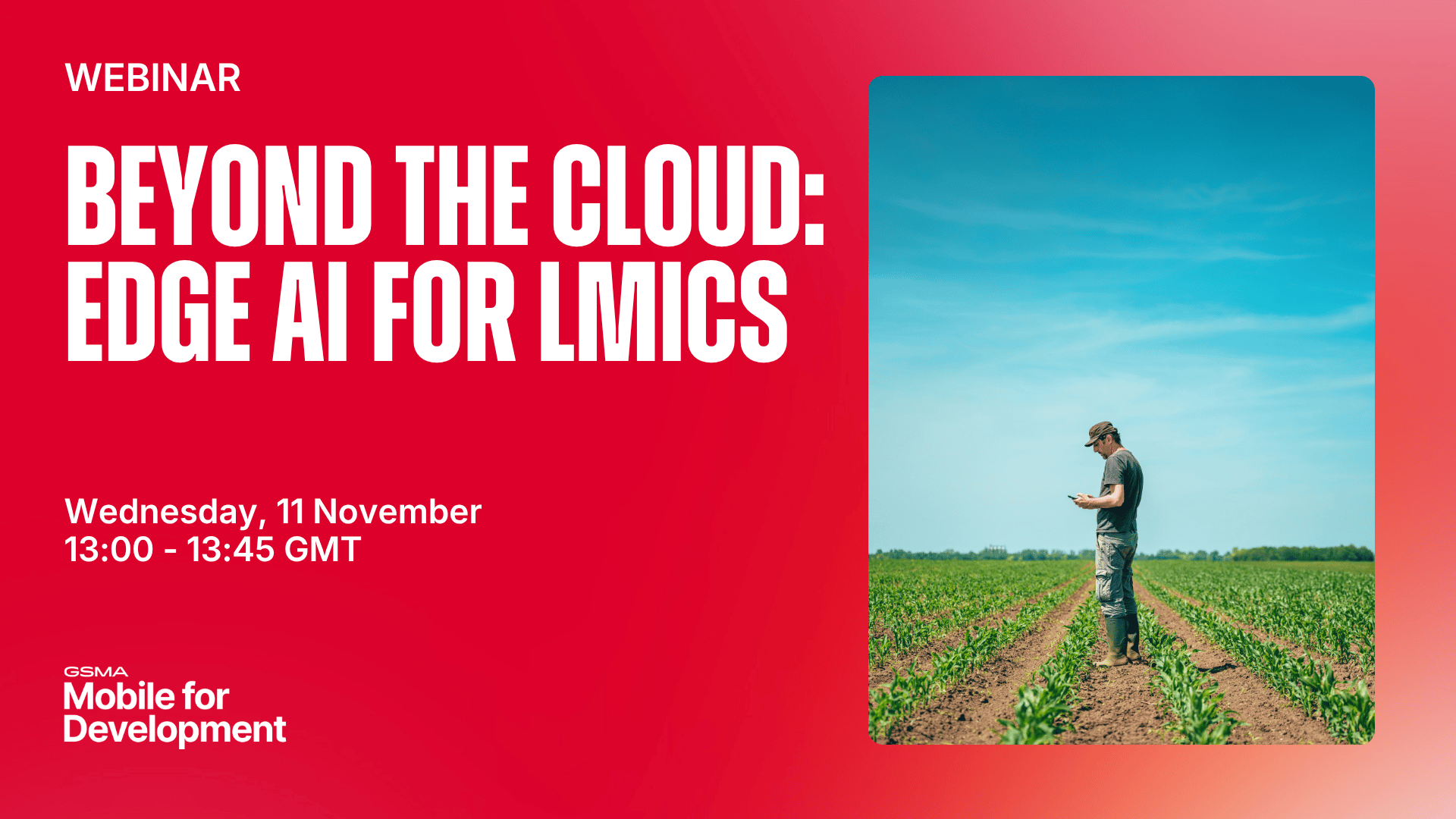 Beyond the Cloud: Edge AI for LMICs