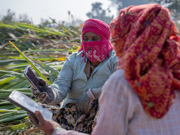 Two women sit in a sugarcane field, one holding a smartphone and tablet to research handset affordability. The woman facing the camera wears a light button-through shirt, a patterned headscarf covering her face, and dark gloves. Both are draped in vibrant, patterned headscarves.