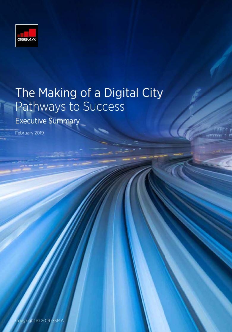 The Making of a Digital City: Pathways to Success image