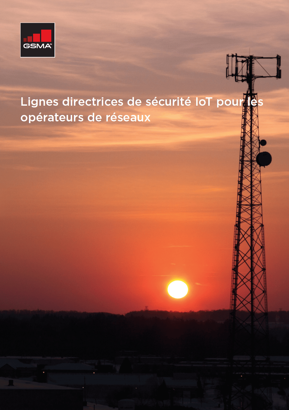 GSMA IoT Security Guidelines and Assessment – French image
