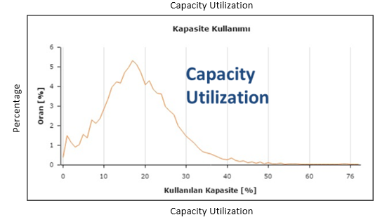 Rectifier capacity utilization distribution