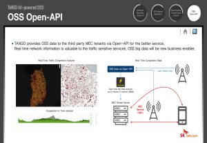 MEC and TANGO’s Open API
