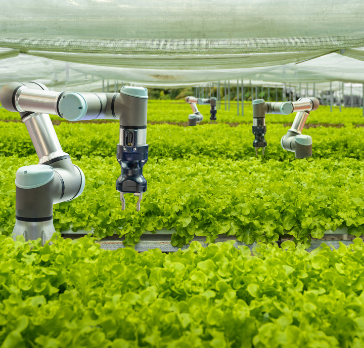Automated agriculture 