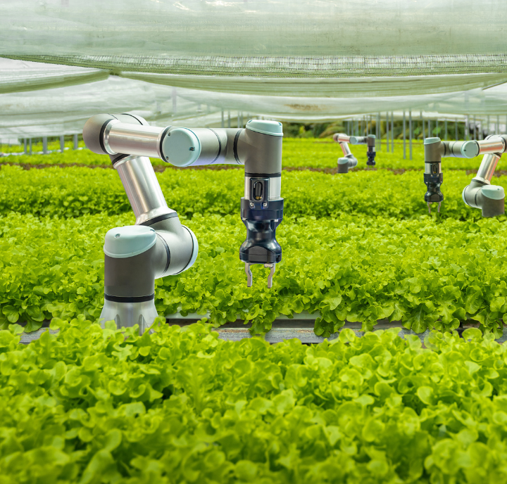 Robotic arms tending to rows of leafy green plants in an indoor hydroponic farm with a translucent covering above, demonstrating automated agriculture technology in a controlled environment.