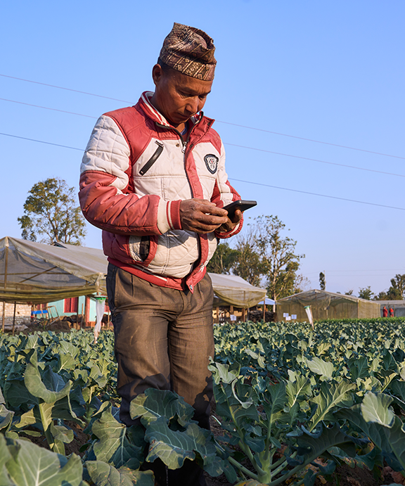 A man wearing a red and white jacket and a traditional hat stands in a green field of crops, looking at a mobile phone in his hands. Greenhouses, trees, and a clear blue sky are visible in the background.