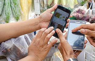Two pairs of hands hold mobile phones, one browsing photos of plants or herbs, the other pointing at a phone screen. Background shows plastic bags filled with vegetables and produce, suggesting a market setting.