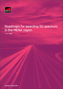 cover of report